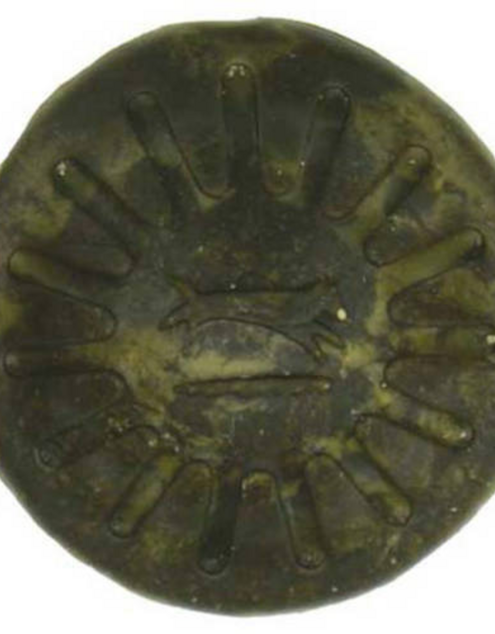 Starmark Starmark Everlasting Chicken Treats Medium