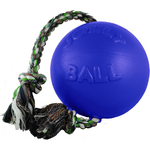 Jolly Pets Jolly Pets Romp-N-Roll Ball Blue Large Dog Toy