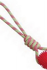 Snugarooz Snugarooz 16 in. Snugz Spike-o-mite Rope Tug