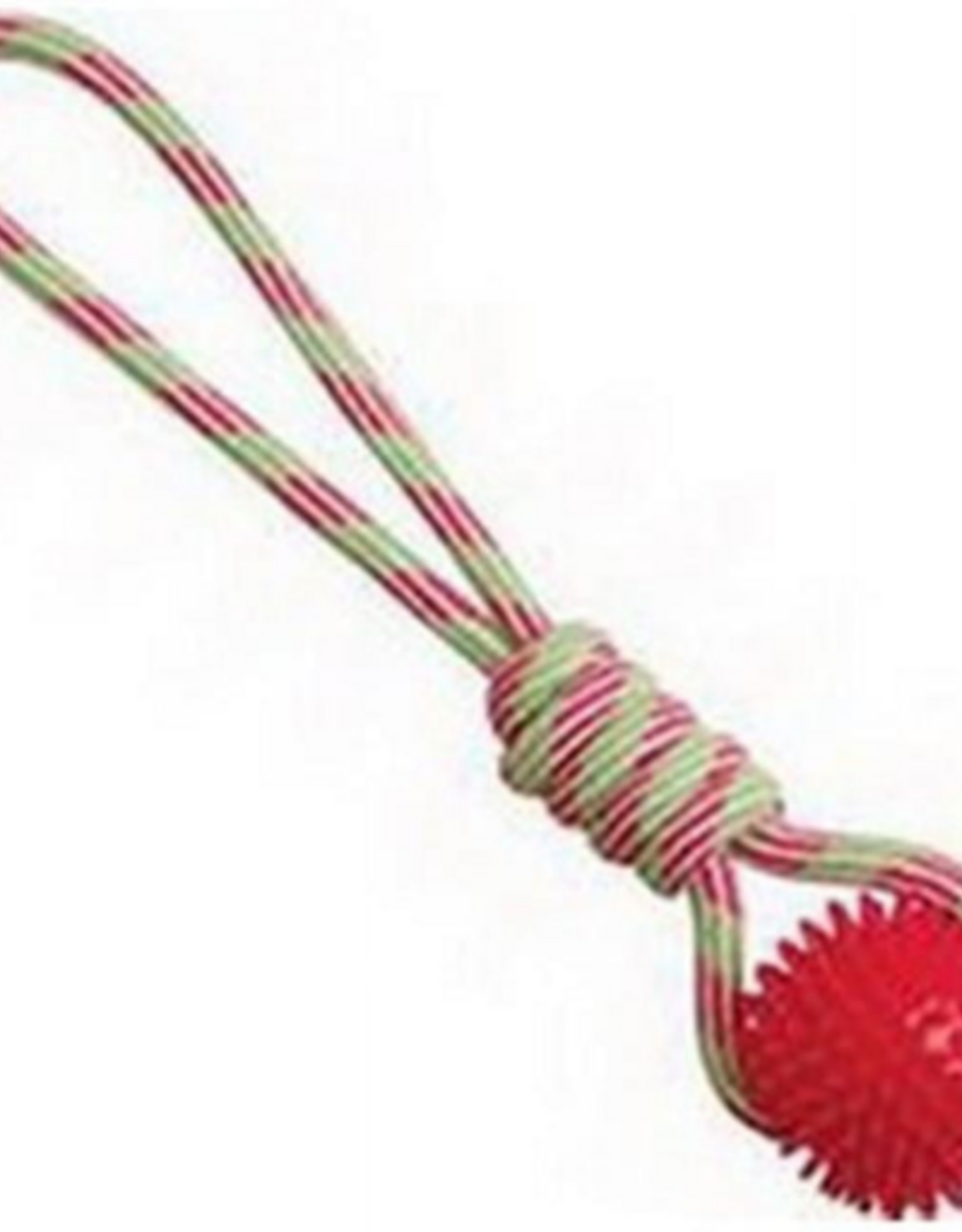 Snugarooz Snugarooz 16 in. Snugz Spike-o-mite Rope Tug