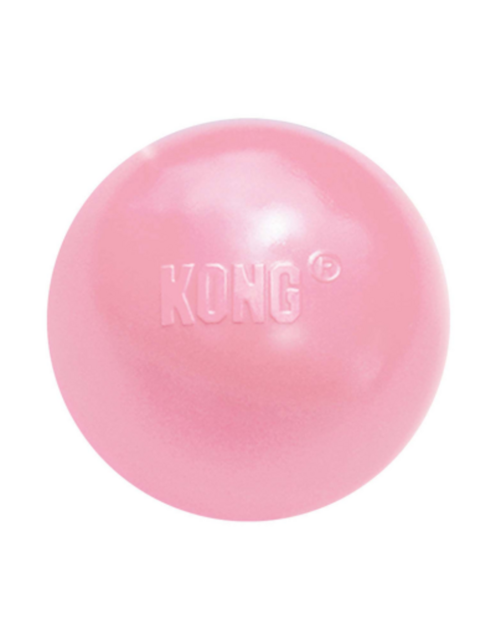 KONG KONG Puppy Ball With Hole Dog Toy Assorted - Small