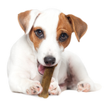 Nylabone NYLABONE EDIBLE BEEF-3PK REGULAR