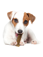 Nylabone NYLABONE EDIBLE BEEF-3PK REGULAR