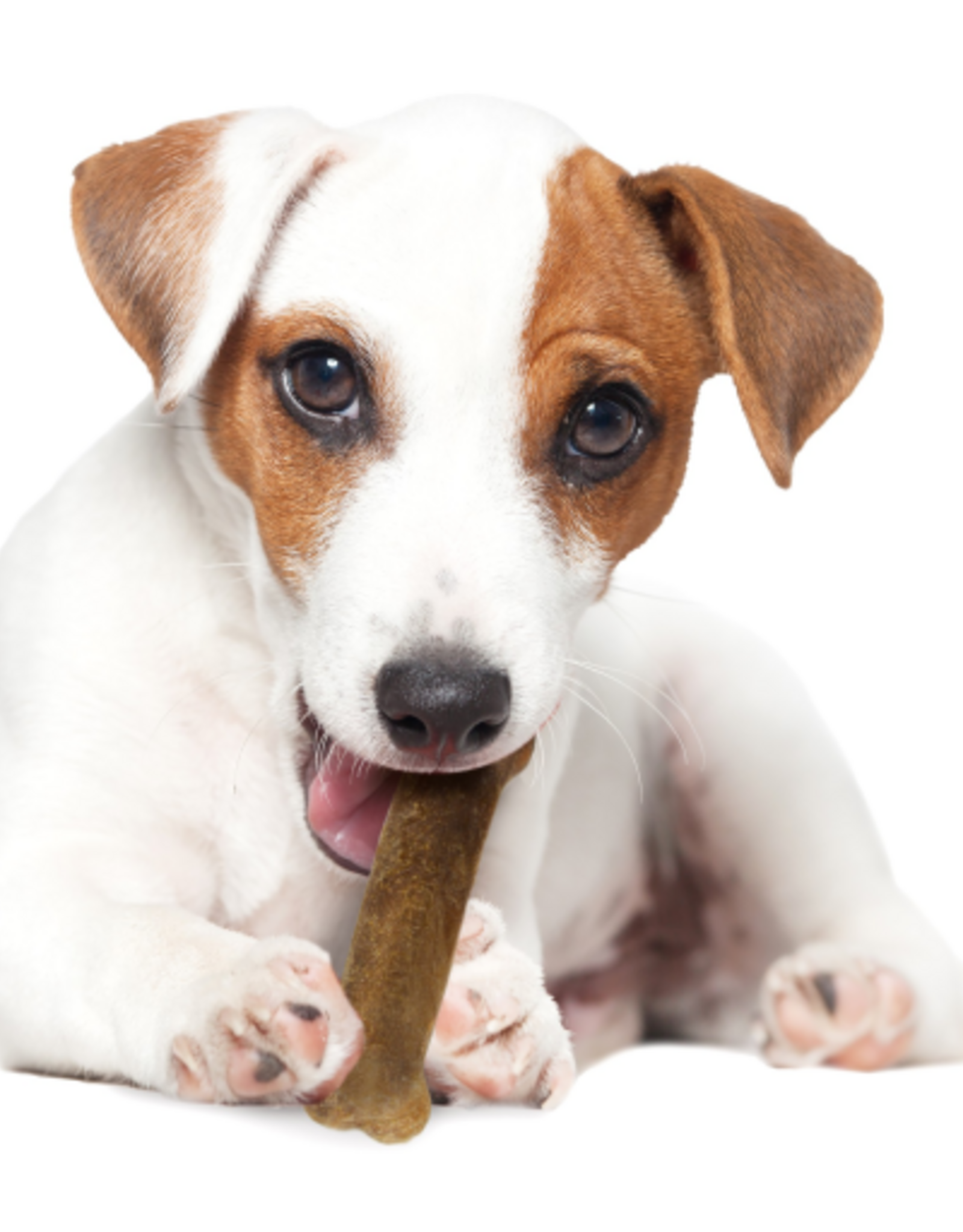 Nylabone NYLABONE EDIBLE BEEF-3PK REGULAR