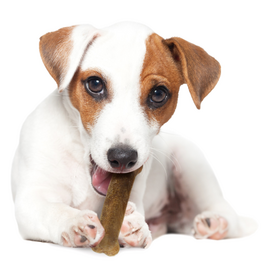 Nylabone NYLABONE EDIBLE BEEF-3PK REGULAR