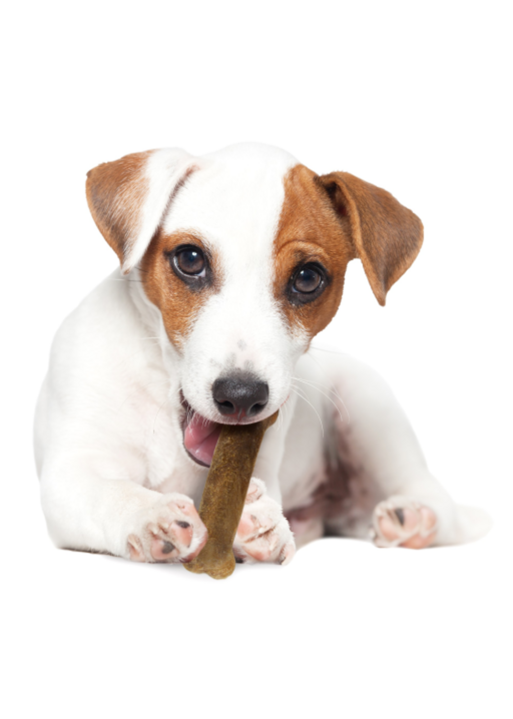 Nylabone NYLABONE EDIBLE BEEF-3PK REGULAR