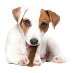 Nylabone Nylabone Healthy Edibles Natural Roast Beef Flavored Dog Treats 2 Pack - Small