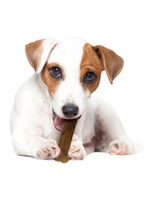 Nylabone Nylabone Healthy Edibles Natural Roast Beef Flavored Dog Treats 2 Pack - Small