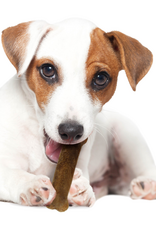 Nylabone Nylabone Healthy Edibles Natural Roast Beef Flavored Dog Treats 2 Pack - Small