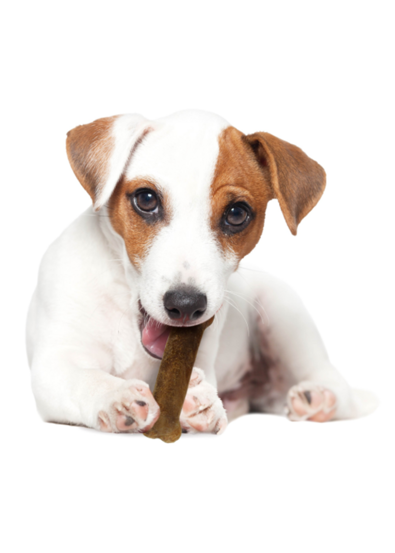 Nylabone Nylabone Healthy Edibles Natural Roast Beef Flavored Dog Treats 2 Pack - Small