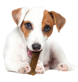 Nylabone Nylabone Healthy Edibles Natural Roast Beef Flavored Dog Treats 2 Pack - Small