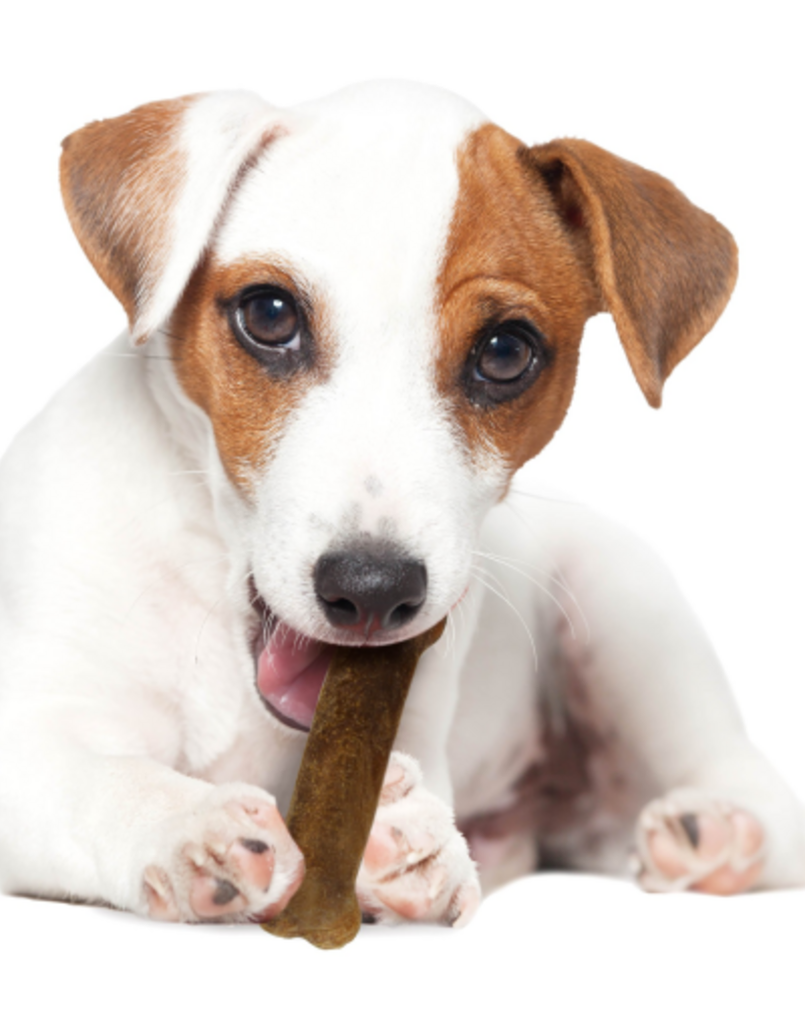 Nylabone Nylabone Healthy Edibles Natural Roast Beef Flavored Dog Treats 2 Pack - Small