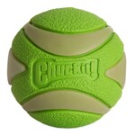 Chuckit! Chuckit! Max Glow Ultra Squeaker Dog Ball Fetch Dog Toy Medium 2.5", Green