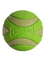 Chuckit! Chuckit! Max Glow Ultra Squeaker Dog Ball Fetch Dog Toy Medium 2.5", Green