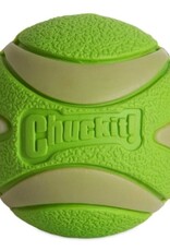 Petmate Chuckit! Max Glow Ultra Squeaker Dog Ball Fetch Dog Toy Medium 2.5", Green