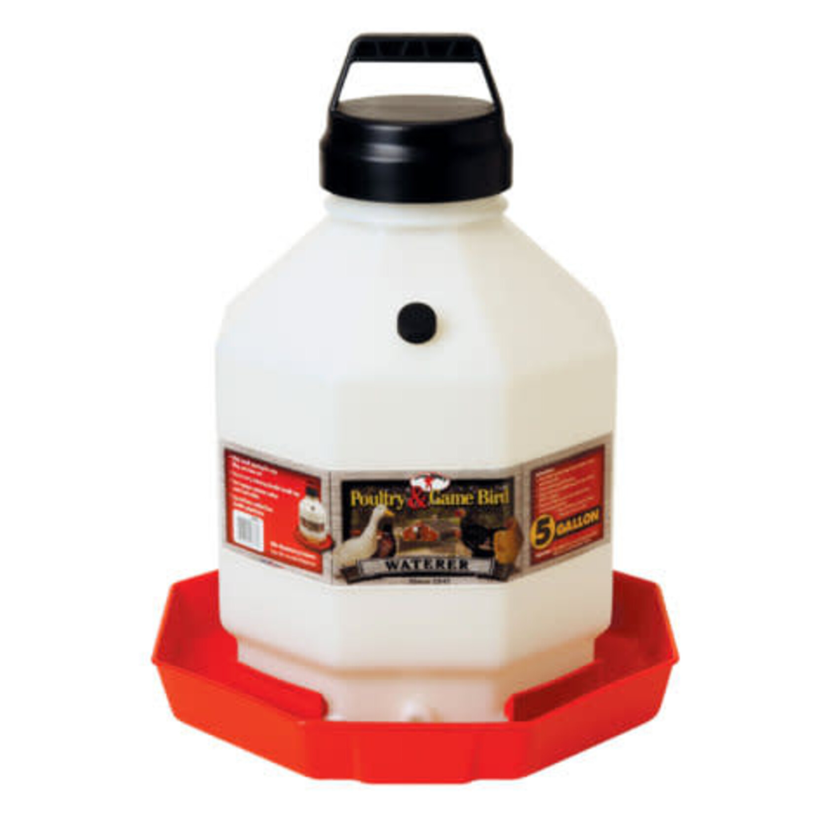 Miller Little Giant Plastic Poultry Waterer - 5 Gallons