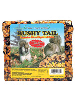 Pine Tree Farms Pine Tree Farms Bushy Tail Squirrel Cake 2.5 lb