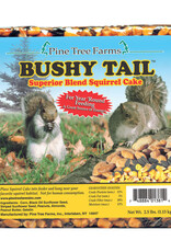 Pine Tree Farms Pine Tree Farms Bushy Tail Squirrel Cake 2.5 lb