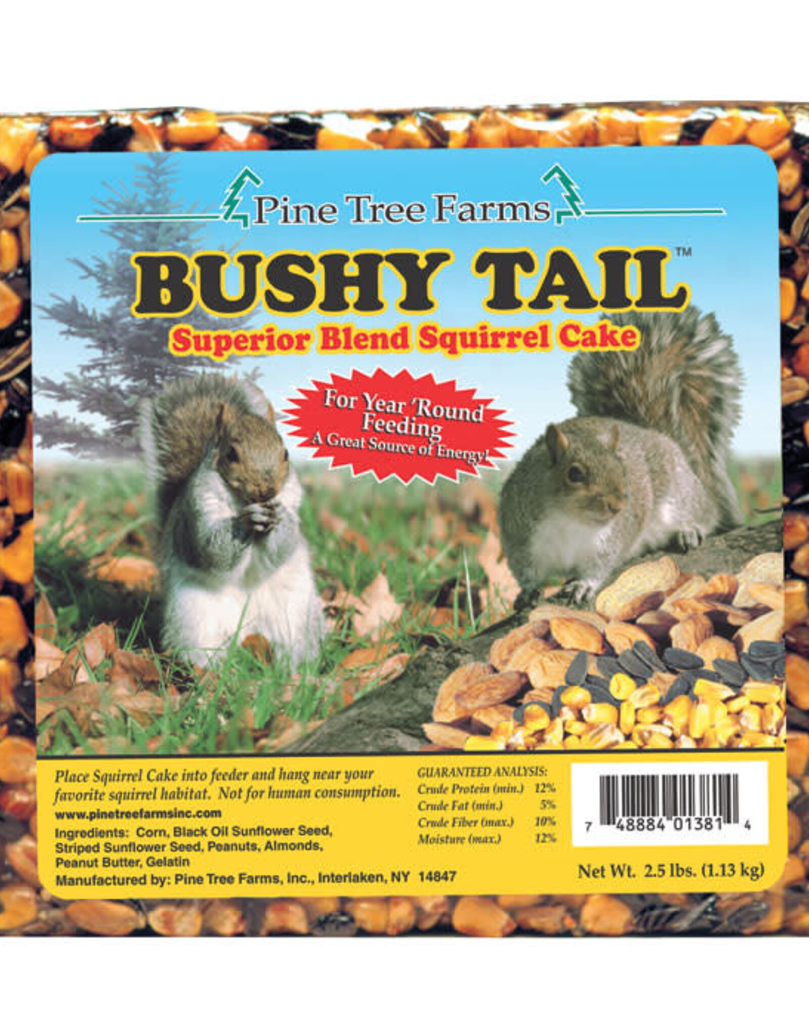 Pine Tree Farms Pine Tree Farms Bushy Tail Squirrel Cake 2.5 lb