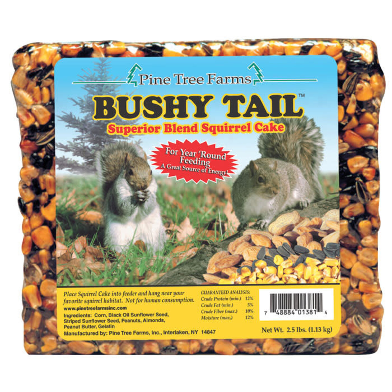 Pine Tree Farms Pine Tree Farms Bushy Tail Squirrel Cake 2.5 lb