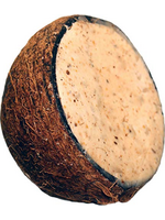 Unipet SUET TO GO HIGH ENERGY WHOLE COCONUT & PEANUT 10 OZ