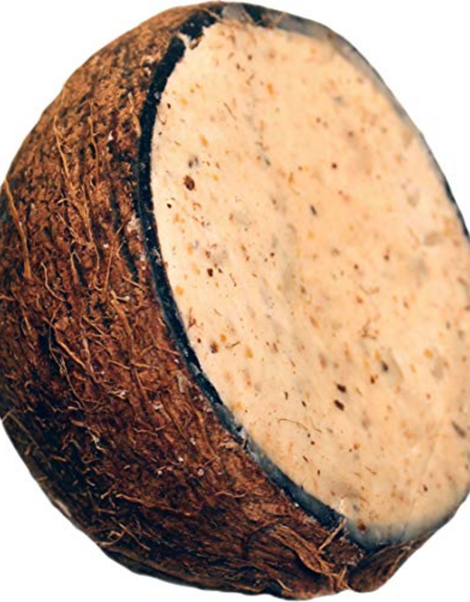 Unipet SUET TO GO HIGH ENERGY WHOLE COCONUT & PEANUT 10 OZ