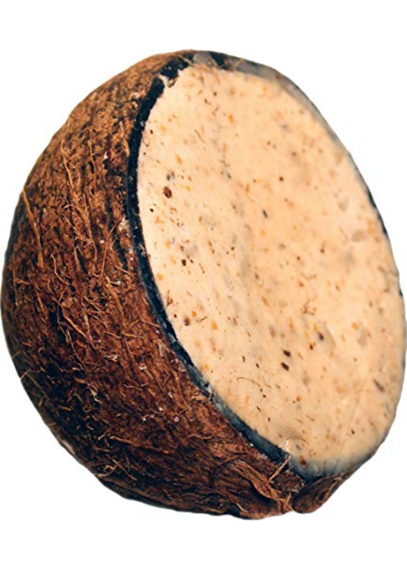 Unipet SUET TO GO HIGH ENERGY WHOLE COCONUT & PEANUT 10 OZ