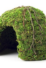 Galapagos Galapagos Mossy Dome Terrarium Hideaway  Fresh Green  1 Each/6 in