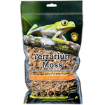 Galapagos Galapagos Terrarium Sphagnum Moss  Blond - Small