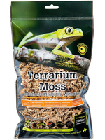 Galapagos Galapagos Terrarium Sphagnum Moss  Blond - Small