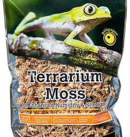 Galapagos Galapagos Terrarium Sphagnum Moss  Blond - Small