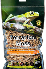 Galapagos Galapagos Terrarium Sphagnum Moss  Blond - Small