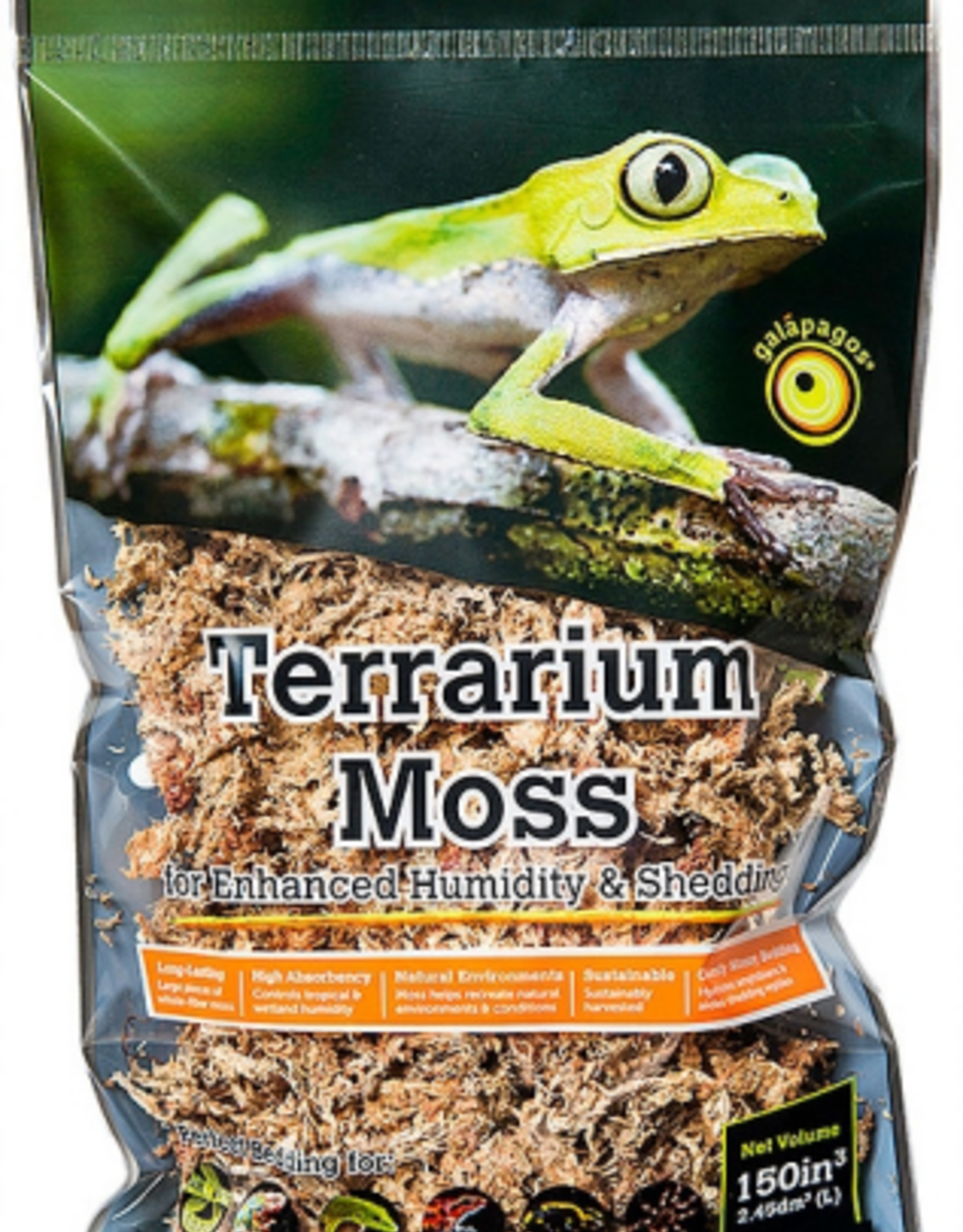 Galapagos Galapagos Terrarium Sphagnum Moss  Blond - Small