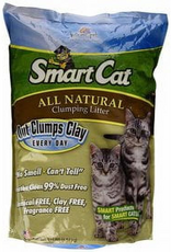 Pioneer Pet Pioneer Smart Cat All Natural Clumping Litter - 20 lb Bag