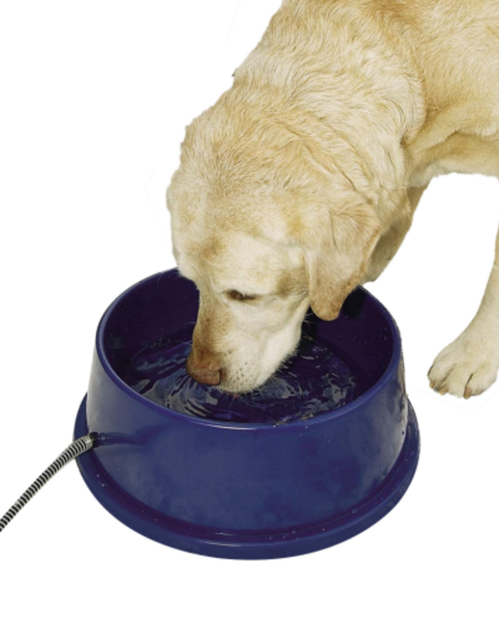 K&H Pet Products K&H Pet Products Thermal-Bowl Outdoor Heated Cat & Dog Water Bowl Blue 96 oz