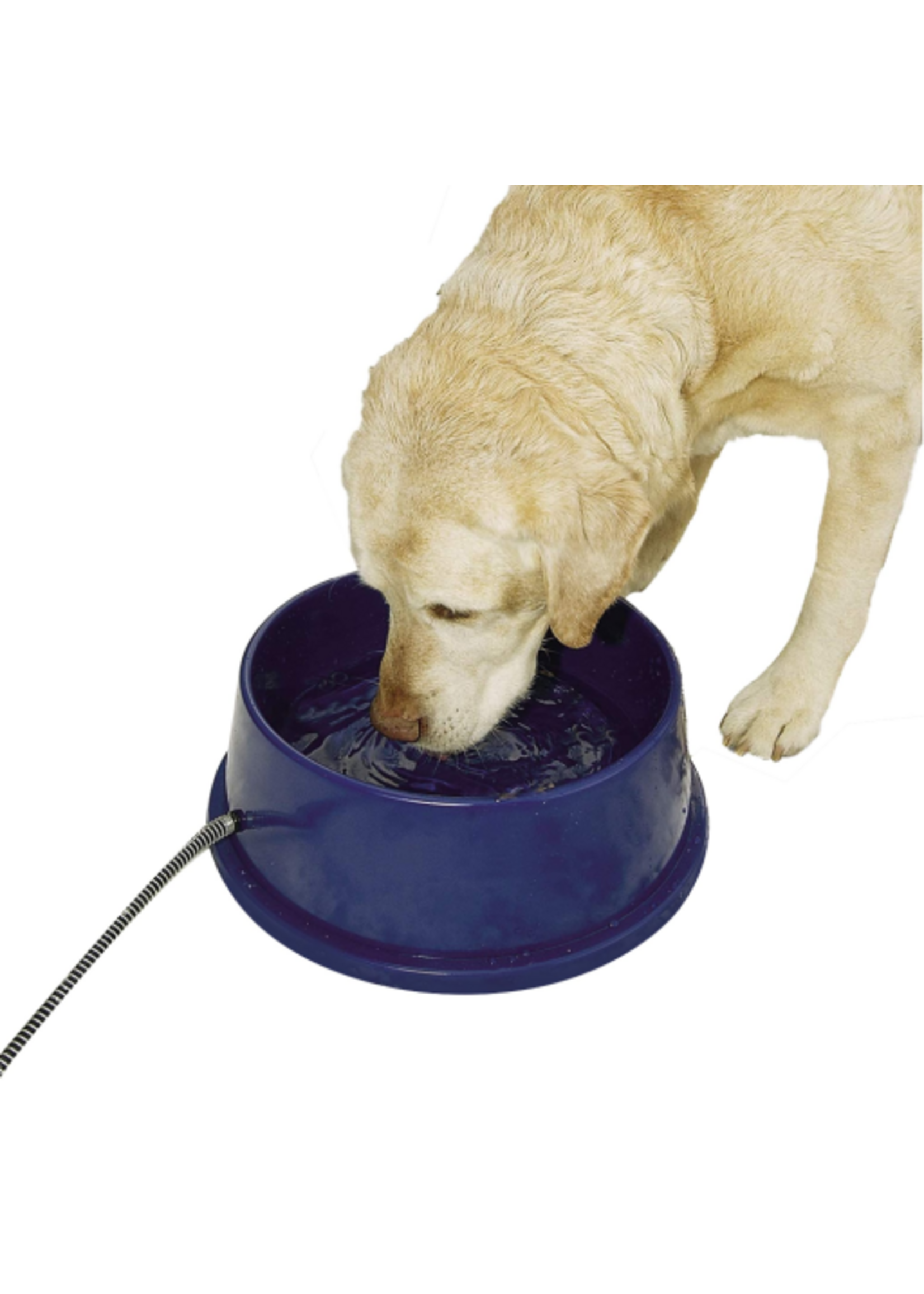 K&H Pet Products K&H Pet Products Thermal-Bowl Outdoor Heated Cat & Dog Water Bowl Blue 96 oz seasonal