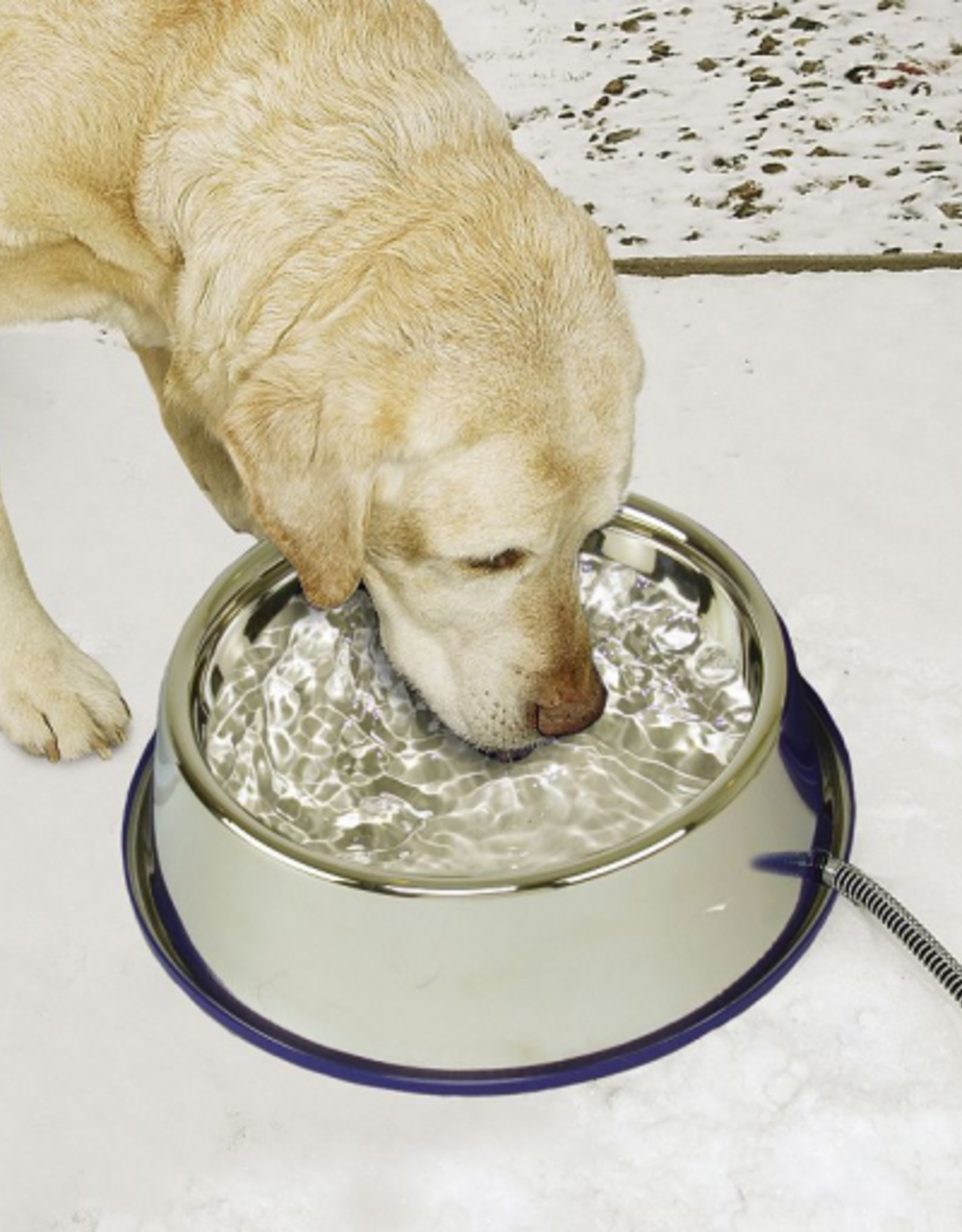 K&H Pet Products K&H Pet Products Thermal-Bowl Outdoor Heated Cat & Dog Water Bowl Stainless Steel 102 Ounces