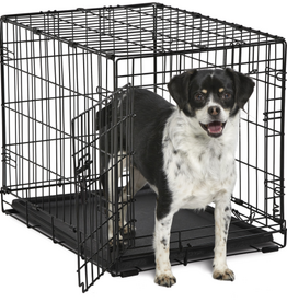 MidWest Midwest Contour Single Door Dog Crate 24 X 18 X 19 inch