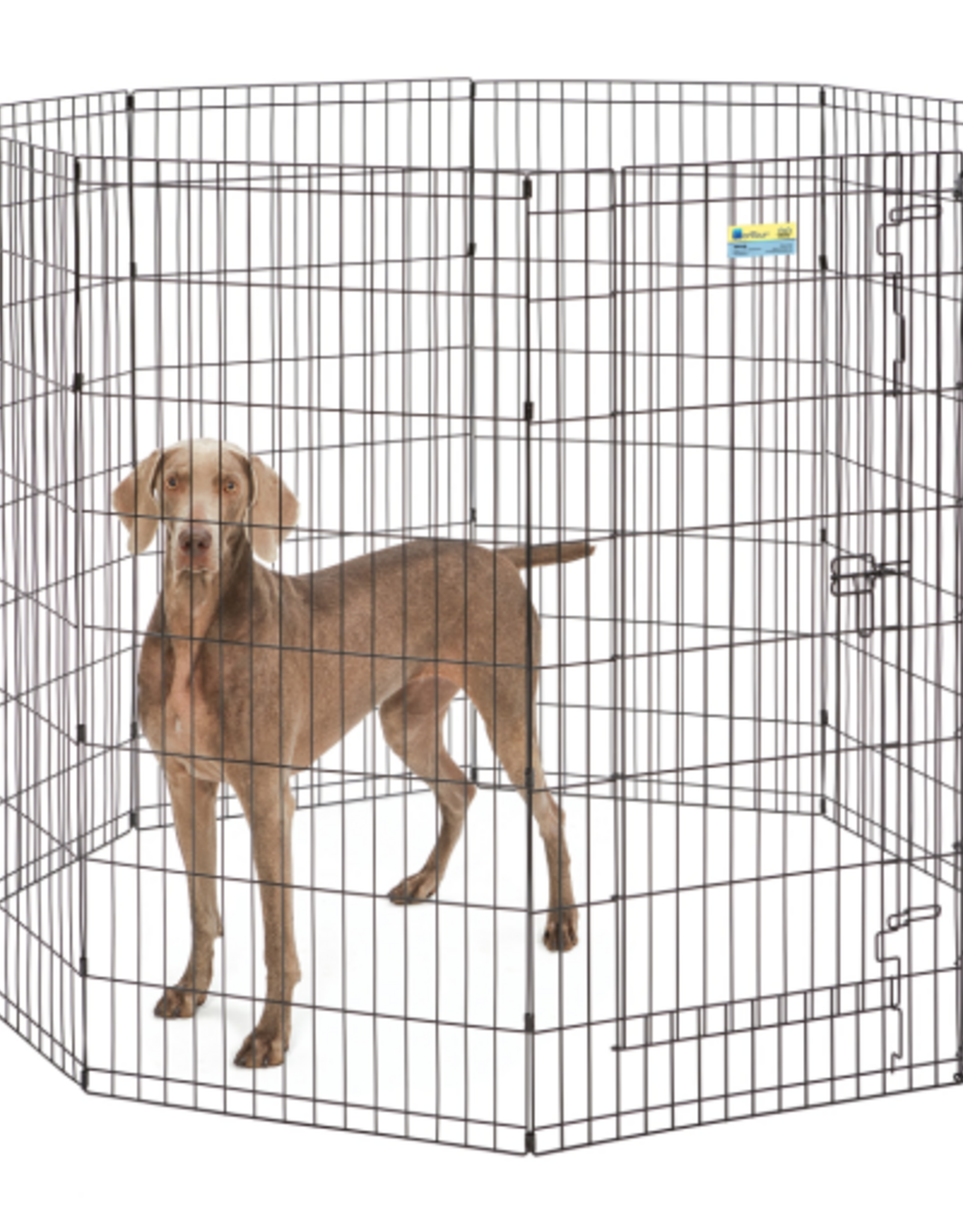 MidWest Midwest Contour Exercise Pet with Door Black 48 in.