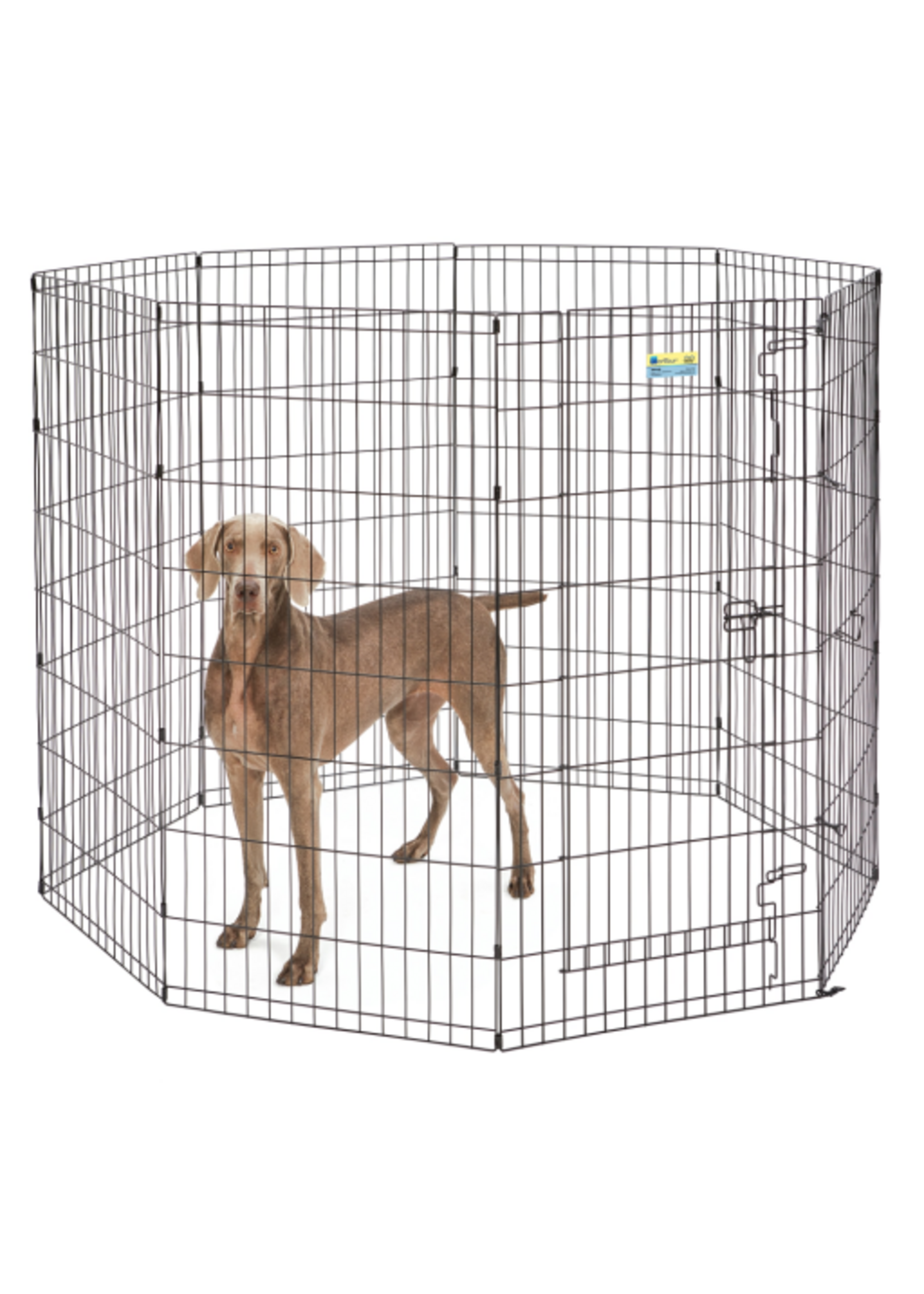 MidWest Midwest Contour Exercise Pet with Door Black 48 in.