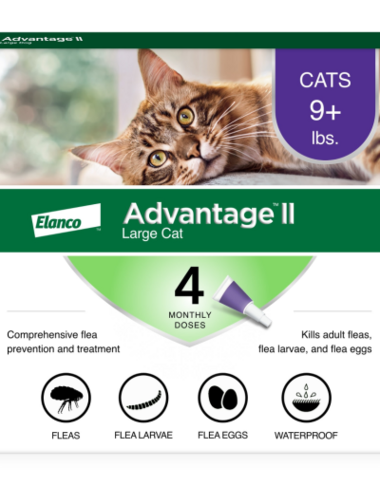 Advantage II Advantage II Vet-Recommended Flea Prevention for Large Cats 9 lbs+  4-Monthly Treatments