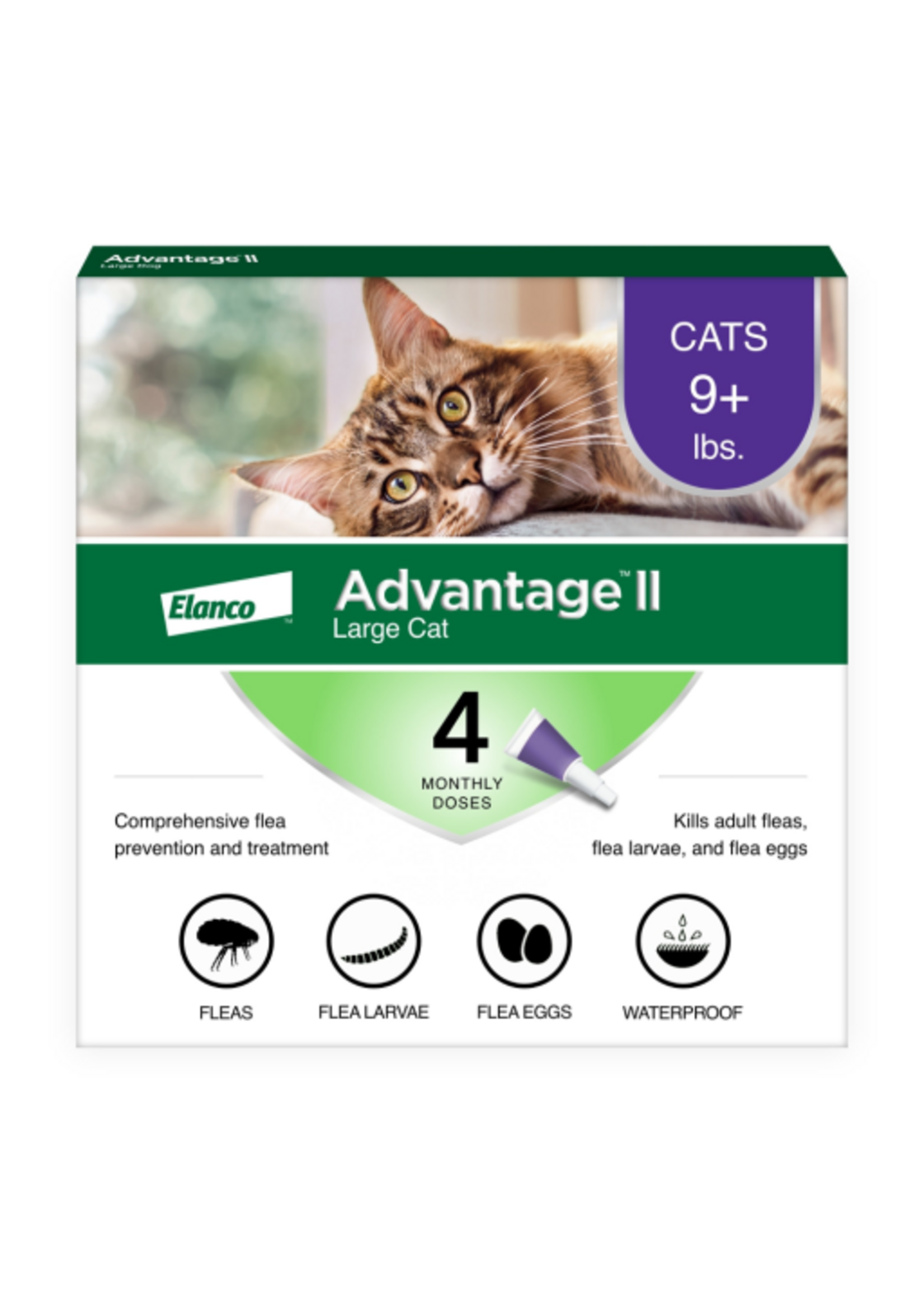 Advantage II Advantage II Vet-Recommended Flea Prevention for Large Cats 9 lbs+  4-Monthly Treatments