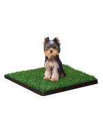 Four Paws Wee-Wee Patch Indoor Potty Small 20" x 20" x 1"