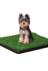Four Paws Wee-Wee Patch Indoor Potty Small 20  x 20  x 1