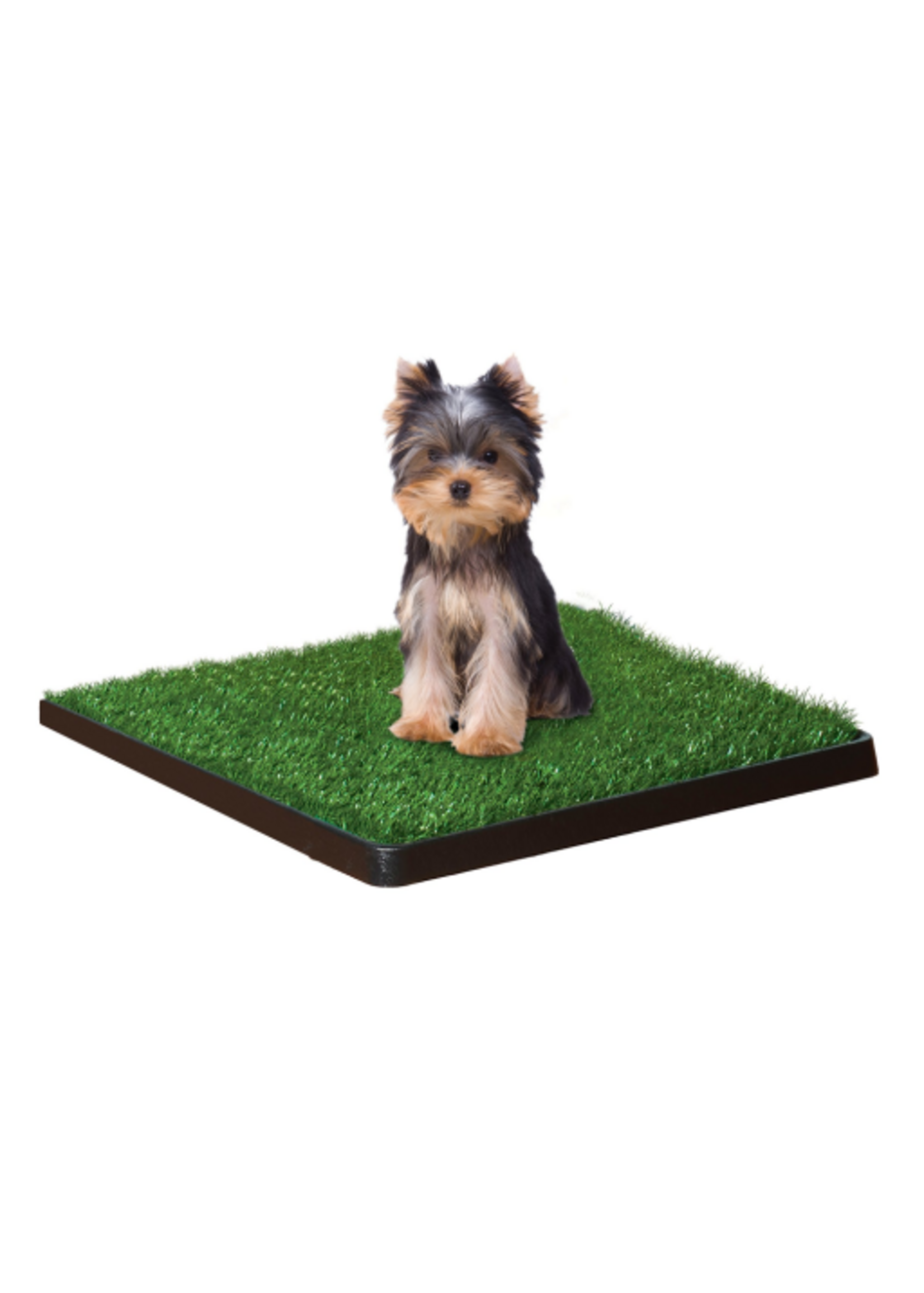 Four Paws Wee-Wee Patch Indoor Potty Small 20" x 20" x 1"