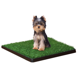 Four Paws Wee-Wee Patch Indoor Potty Small 20  x 20  x 1