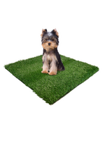 Four Paws Wee-Wee Patch Replacement Mat 19" X 19"