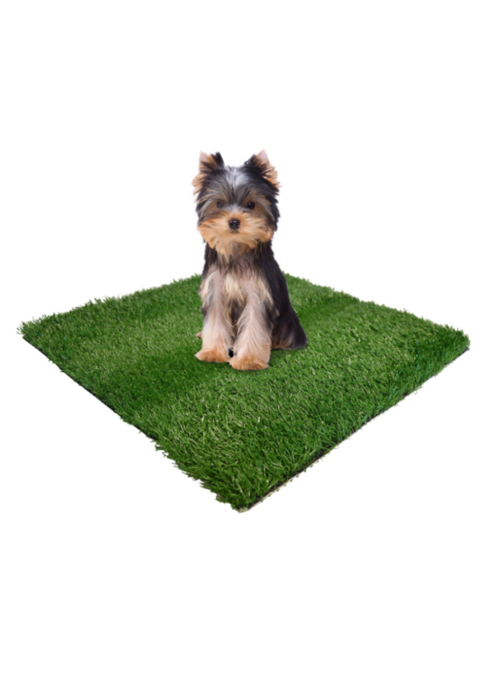 Four Paws Wee-Wee Patch Replacement Mat 19" X 19"
