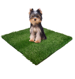 Four Paws Wee-Wee Patch Replacement Mat 19" X 19"