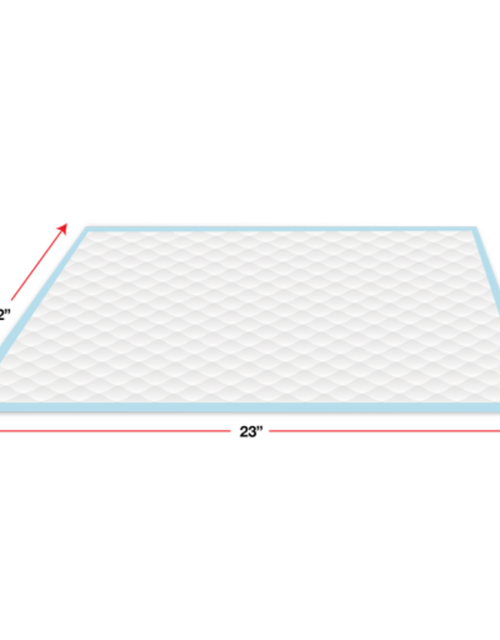 Four Paws Four Paws Wee Wee Pads 30 Pack 22" X 23"